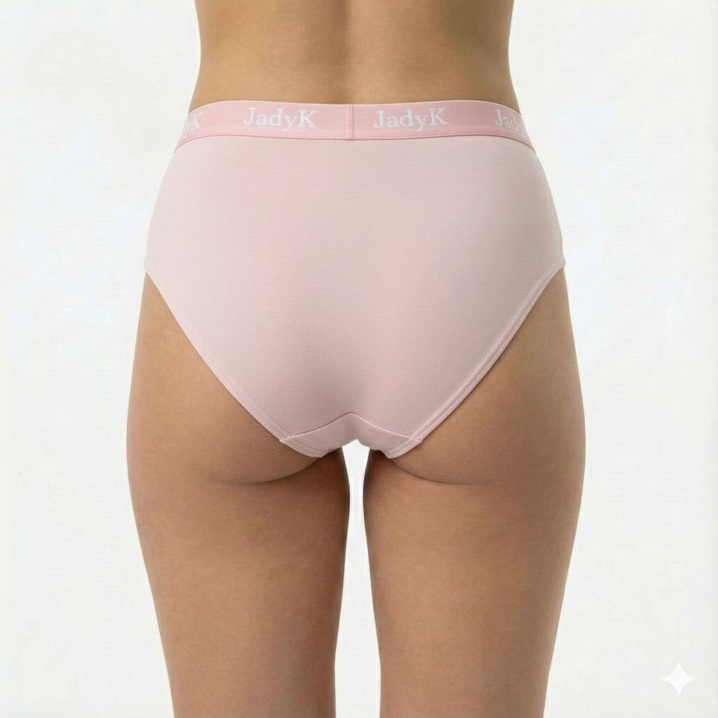 Arya DailyArmor™ Featuring Arya Curvelock™ Technology + AquaShield™ Protection Briefs Collection | Blush | JadyK By JadyK