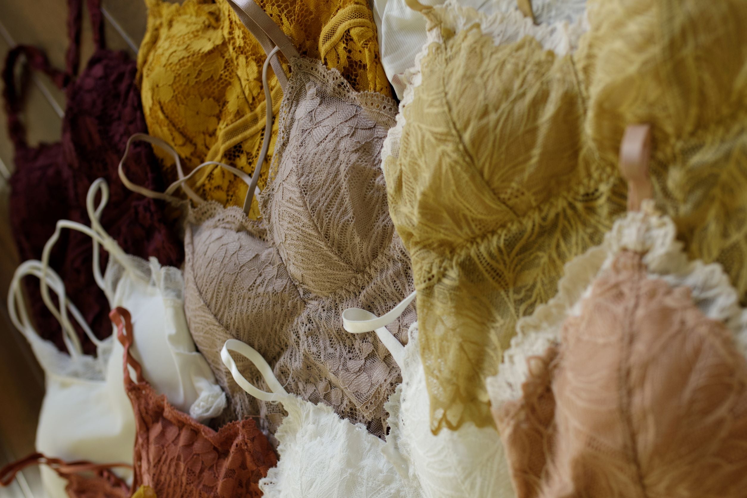 The Future of Bralettes: Trends to Watch – JadyK Beautique