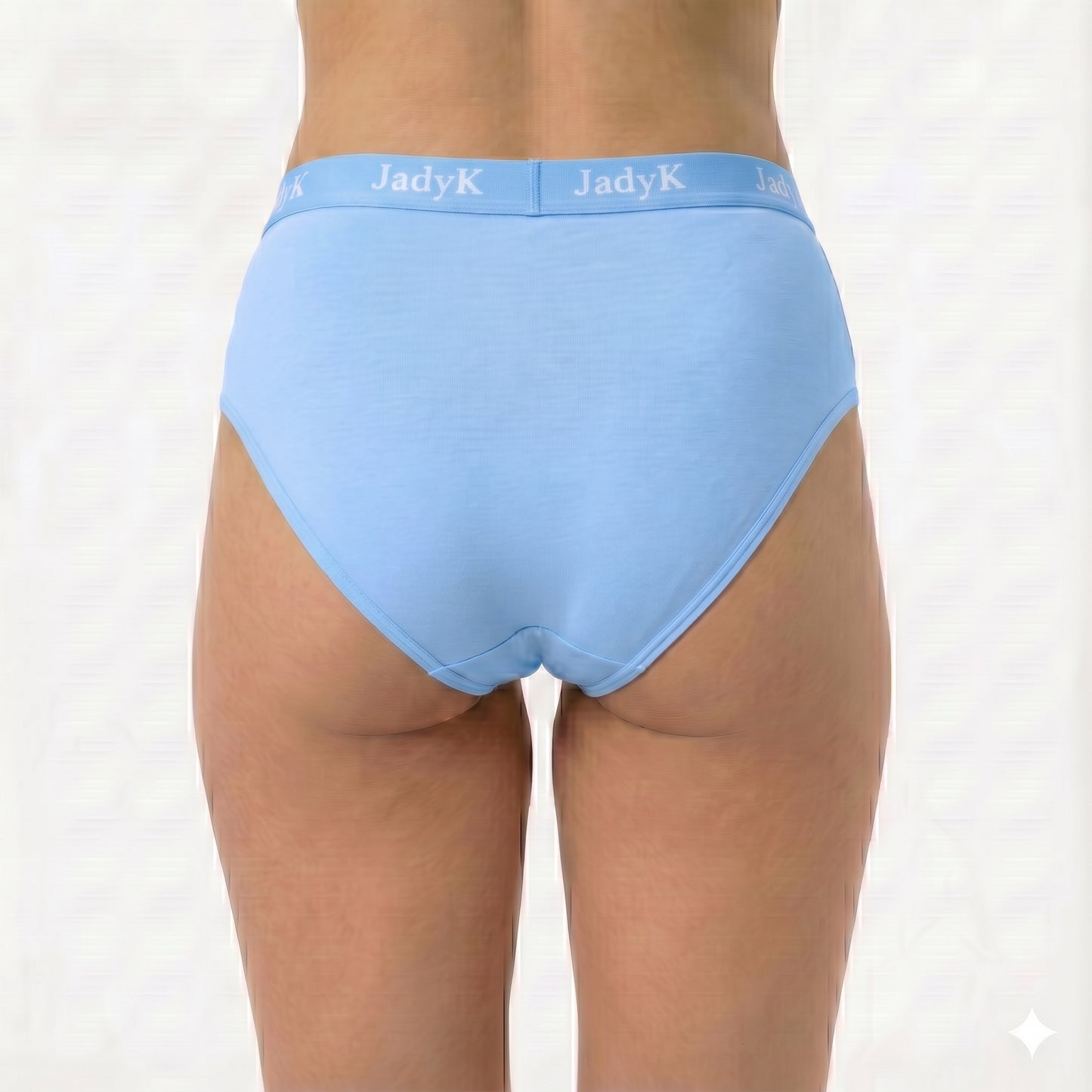 Arya DailyArmor™ Featuring Arya Curvelock™ Technology + AquaShield™ Protection Briefs Collection | Blue | JadyK By JadyK