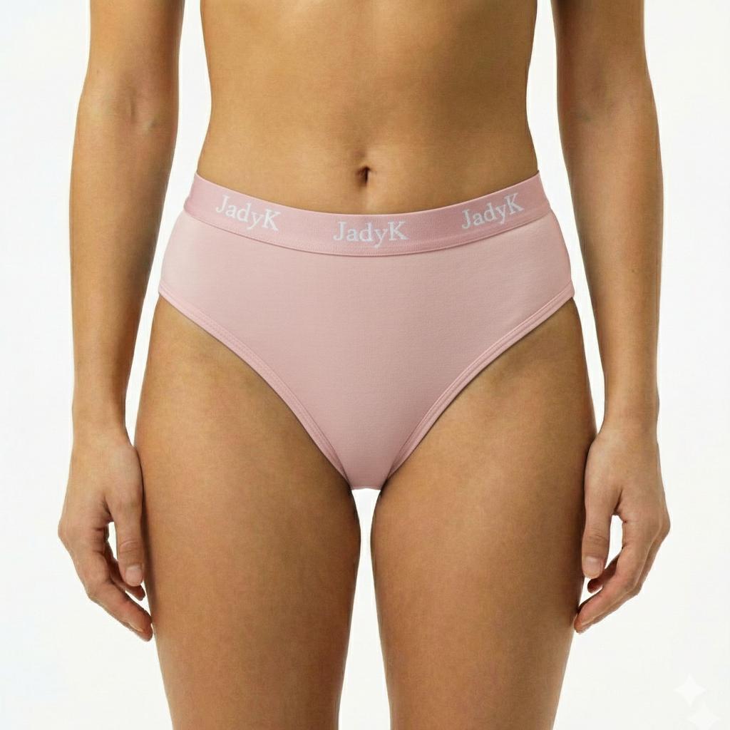 Arya DailyArmor™ Featuring Arya Curvelock™ Technology + AquaShield™ Protection Briefs Collection | Blush | JadyK By JadyK