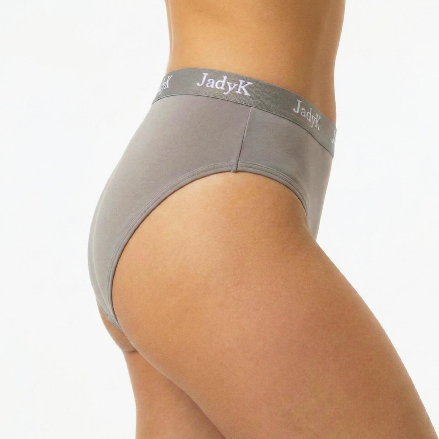 Arya DailyArmor™ Featuring Arya Curvelock™ Technology + AquaShield™ Protection Briefs Collection | Gray | JadyK By JadyK