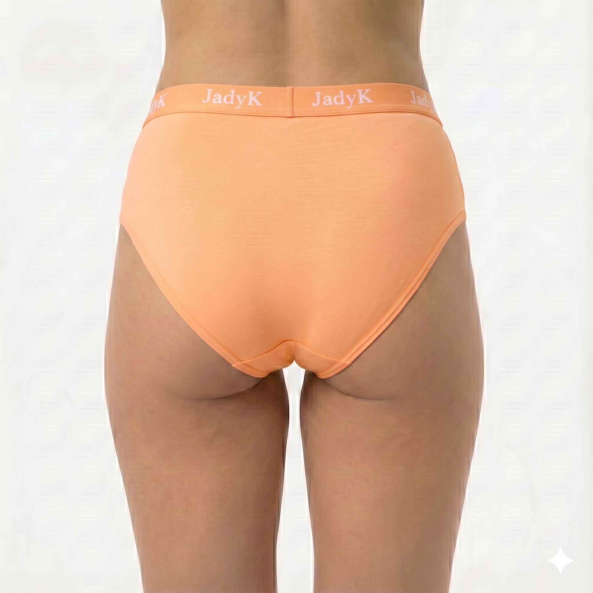 Arya DailyArmor™ Featuring Arya Curvelock™ Technology + AquaShield™ Protection Briefs Collection | Orange | JadyK By JadyK