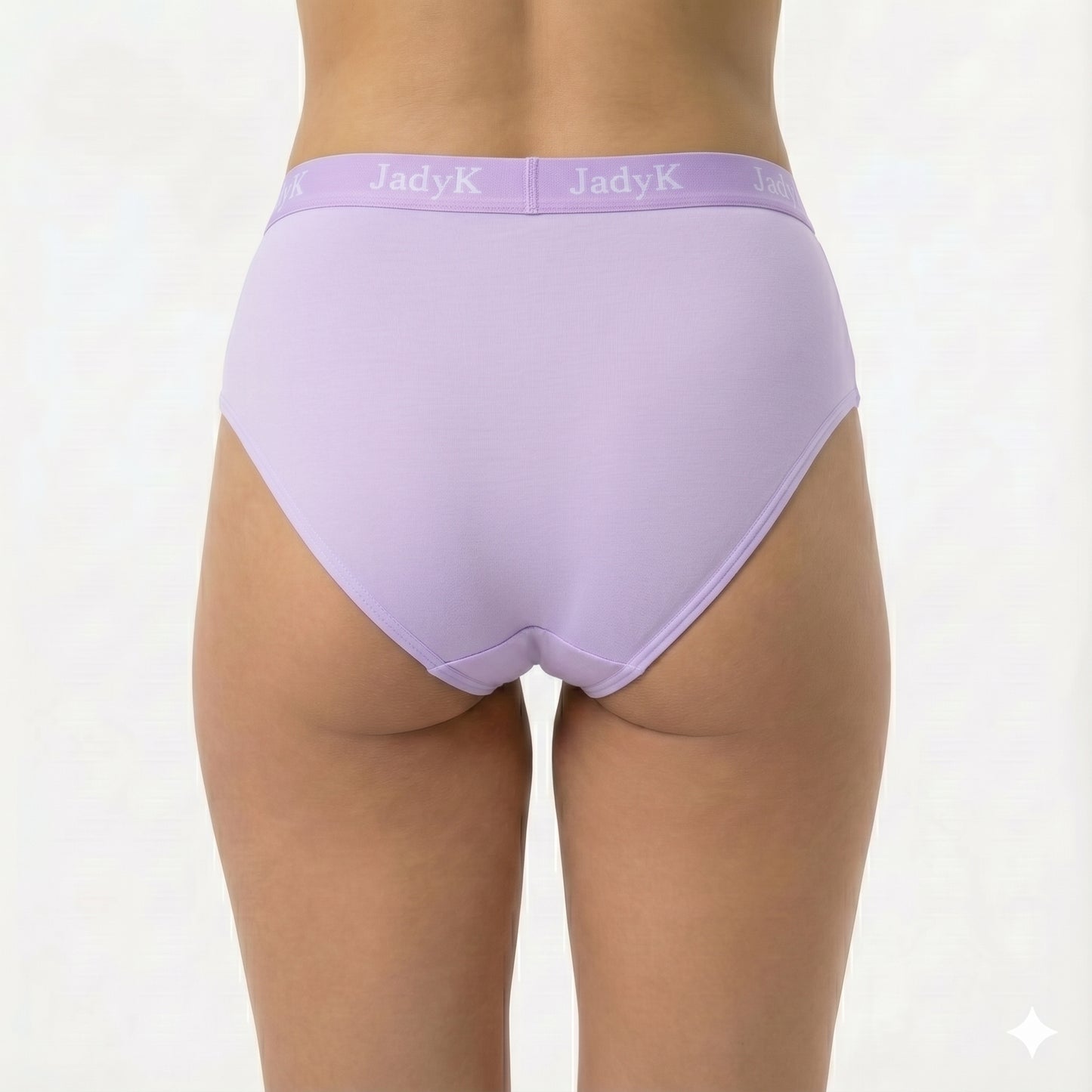 Arya DailyArmor™ Featuring Arya Curvelock™ Technology + AquaShield™ Protection Briefs Collection | Purple | JadyK By JadyK