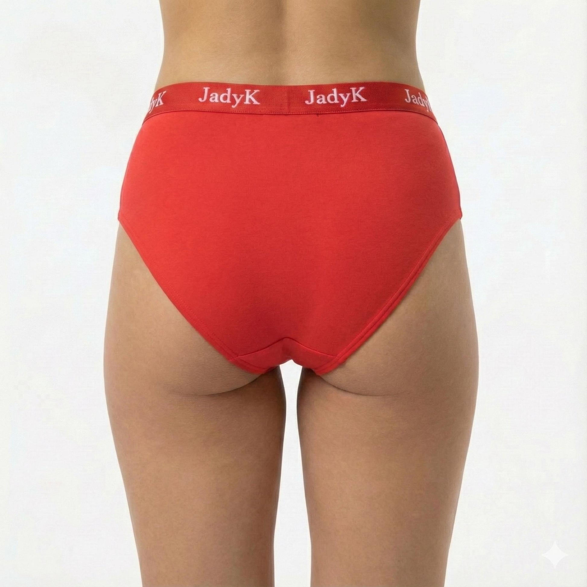 Arya DailyArmor™ Featuring Arya Curvelock™ Technology + AquaShield™ Protection Briefs Collection | Red | JadyK By JadyK