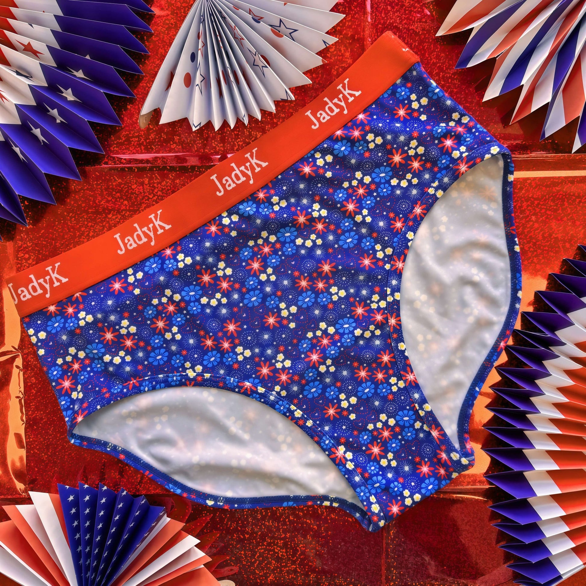 Arya Hip Hugging Briefs | USA Collection | JadyK By JadyK