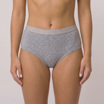 Arya CurveLock™ Briefs | Heather Gray | DailyArmor™ + AquaShield™ Protection | JadyK